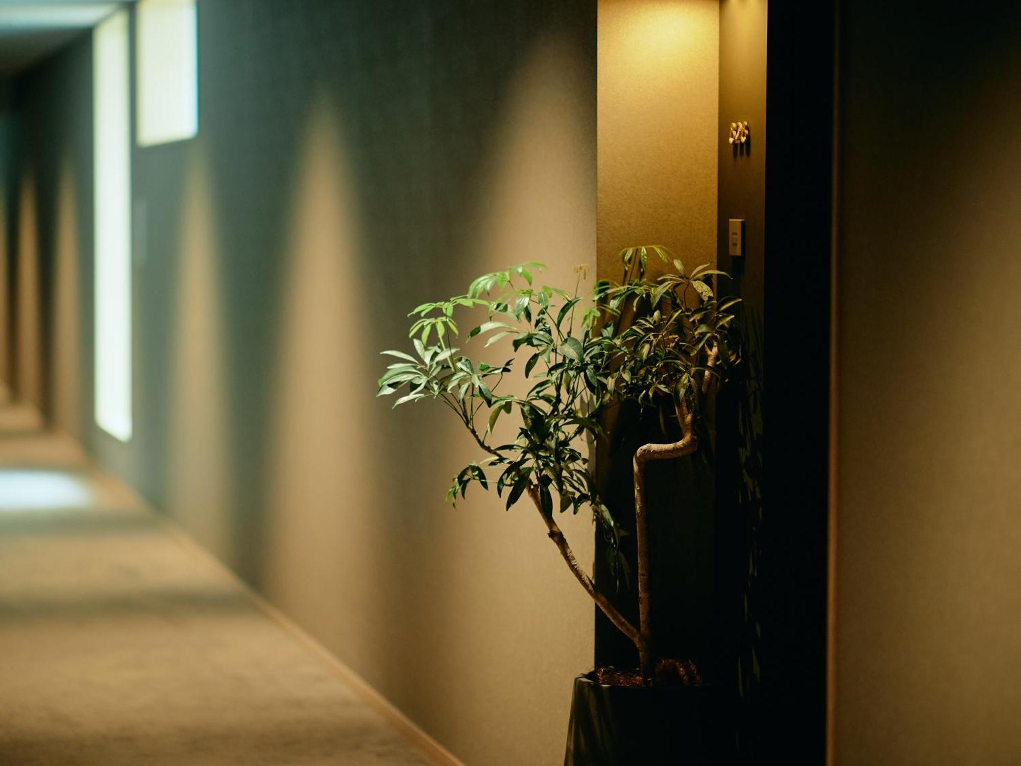 Good Nature Hotel Kjóto Pokoj fotografie A corridor in a hotel