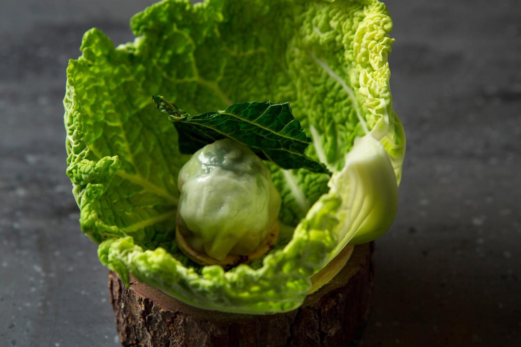 Good Nature Hotel Kjóto Exteriér fotografie A cabbage leaf with a ball of ice